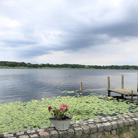 Ferienwohnung Auf Der Insel Werder  Ngoại thất bức ảnh
